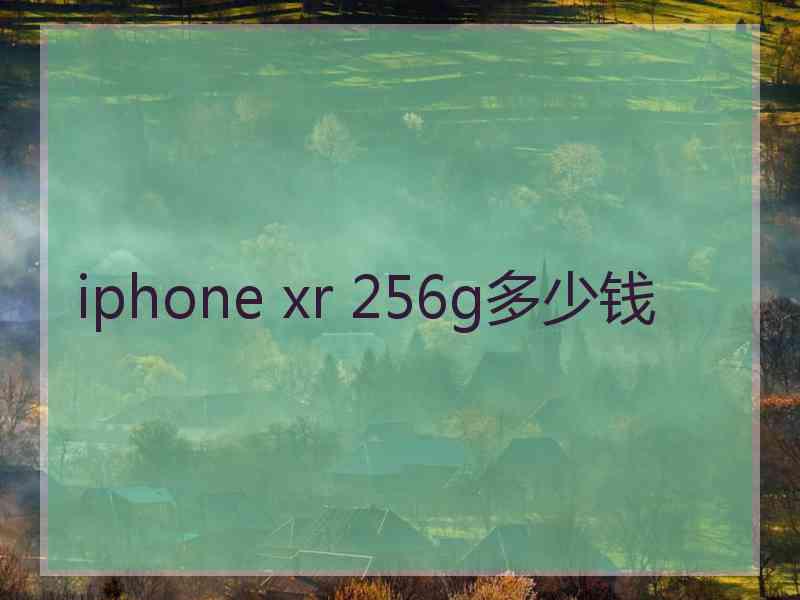 iphone xr 256g多少钱