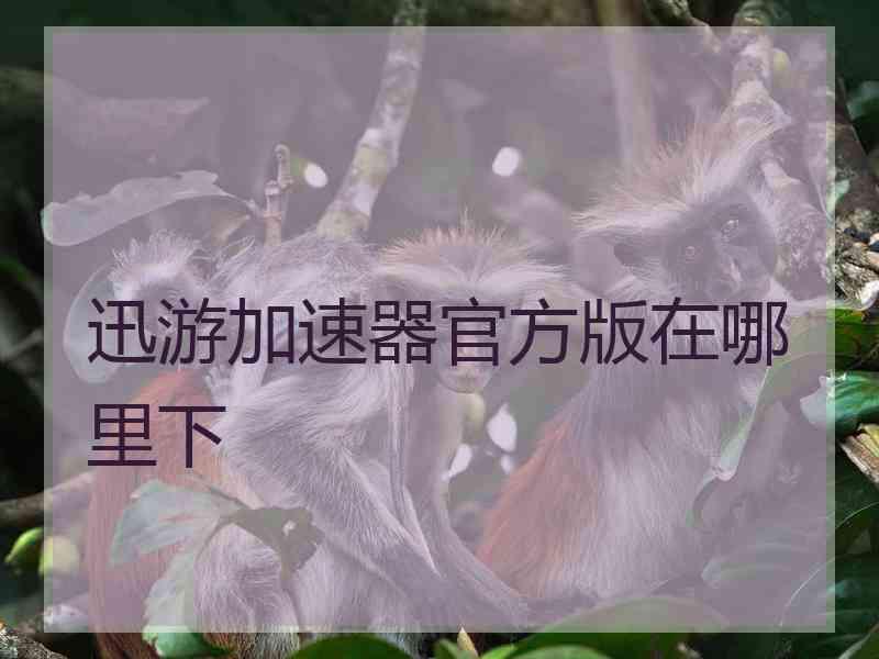 迅游加速器官方版在哪里下