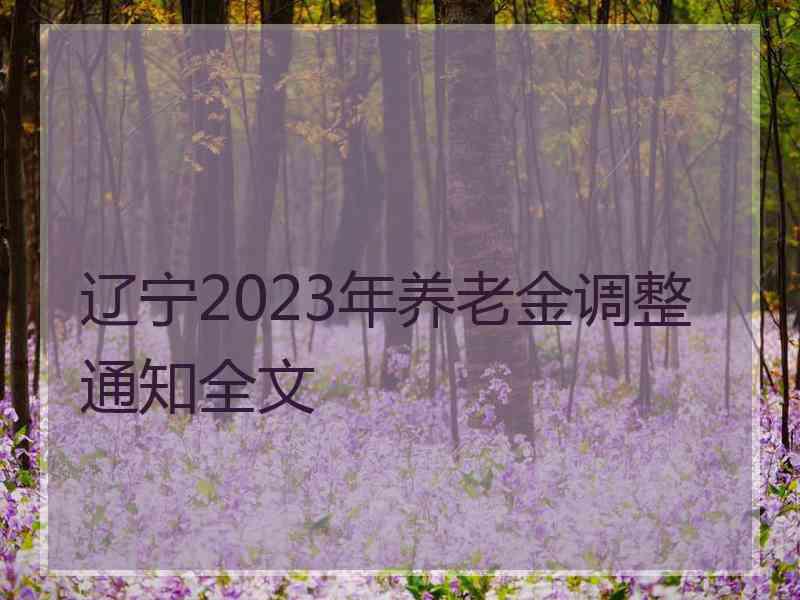 辽宁2023年养老金调整通知全文