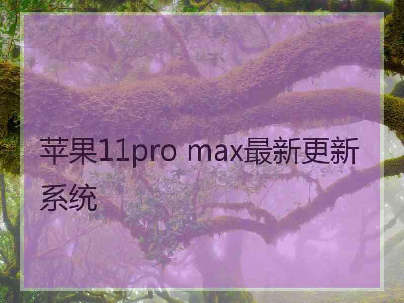 苹果11pro max最新更新系统