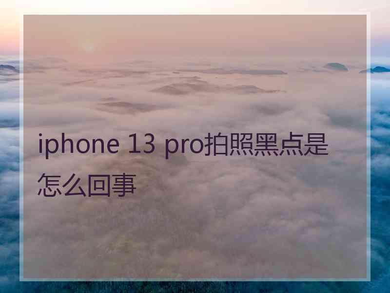 iphone 13 pro拍照黑点是怎么回事