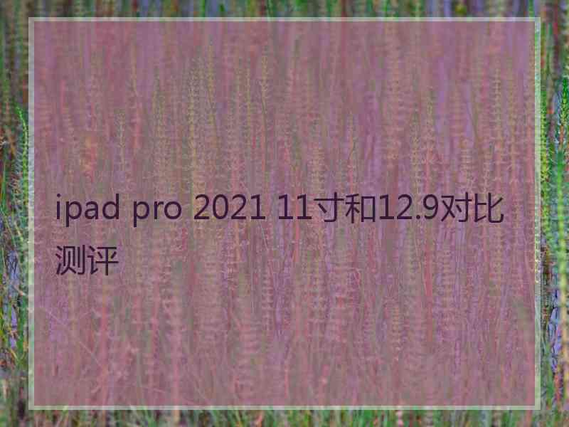 ipad pro 2021 11寸和12.9对比测评