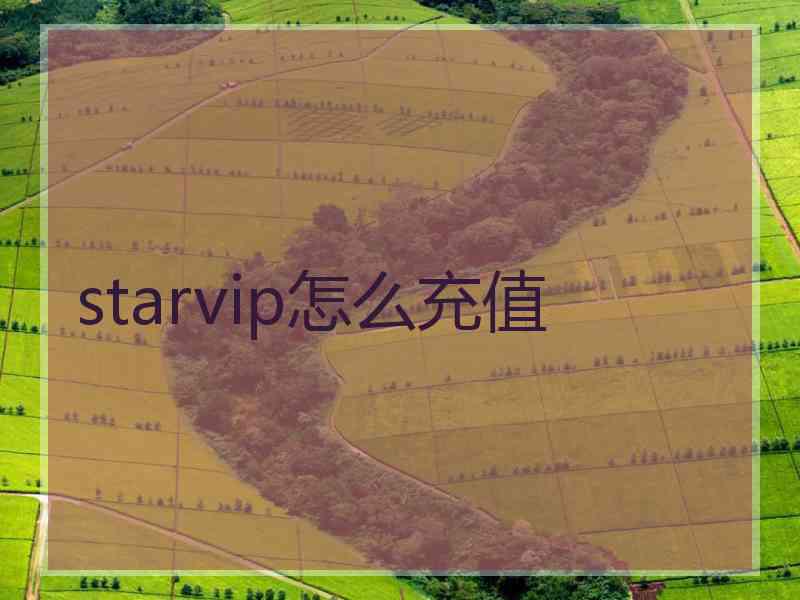 starvip怎么充值