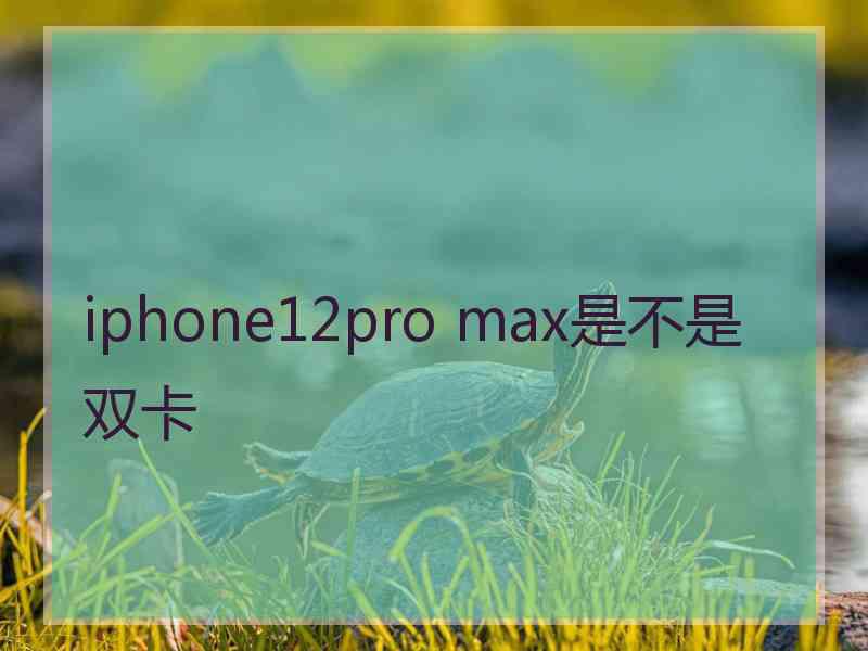 iphone12pro max是不是双卡