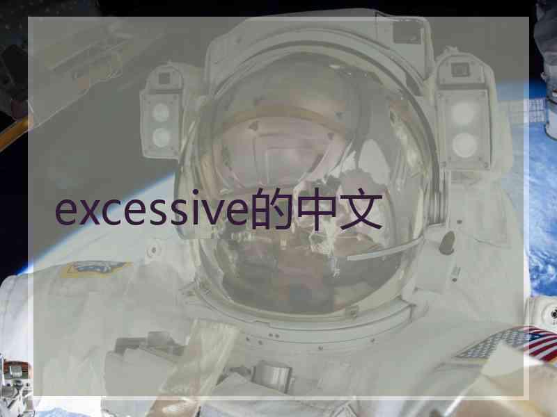 excessive的中文