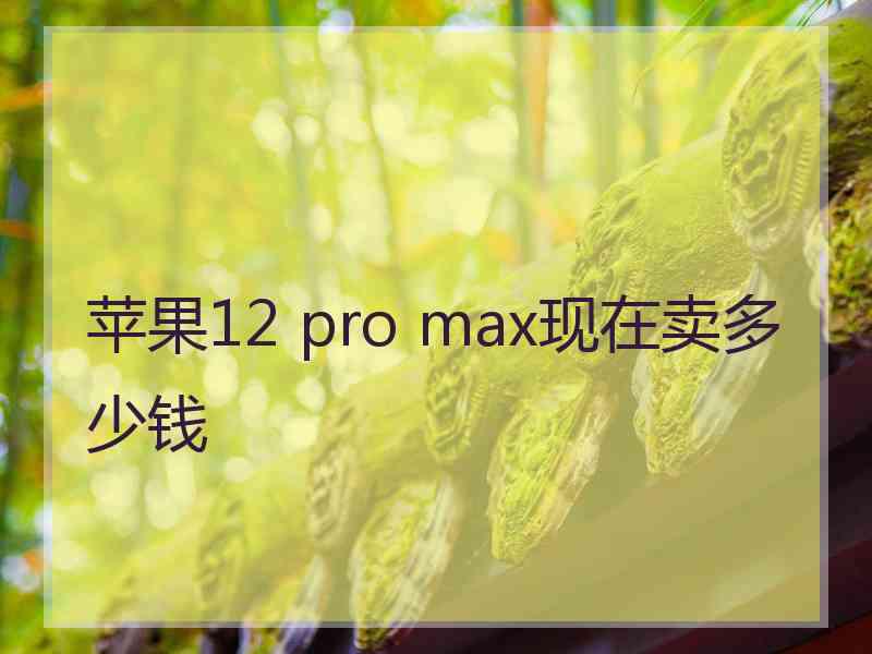 苹果12 pro max现在卖多少钱