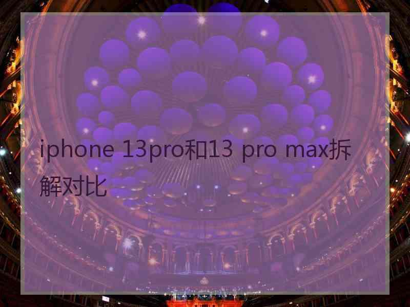 iphone 13pro和13 pro max拆解对比