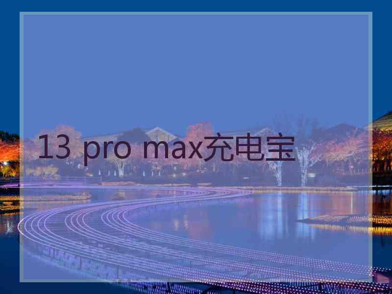 13 pro max充电宝