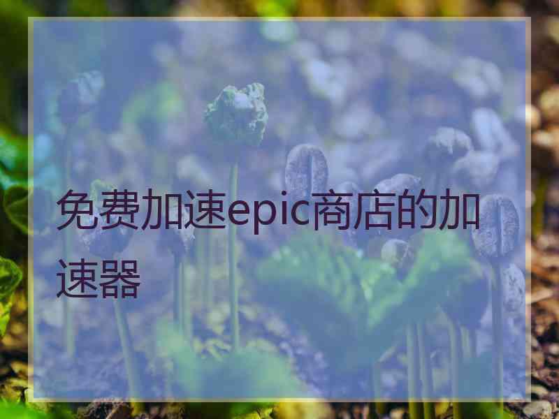 免费加速epic商店的加速器