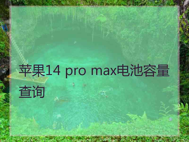 苹果14 pro max电池容量查询