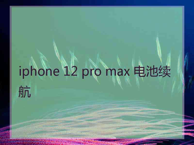 iphone 12 pro max 电池续航