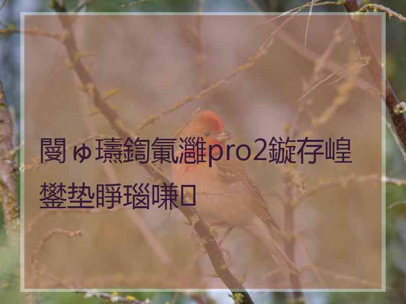 閿ゅ瓙鍧氭灉pro2鏇存崲鐢垫睜瑙嗛