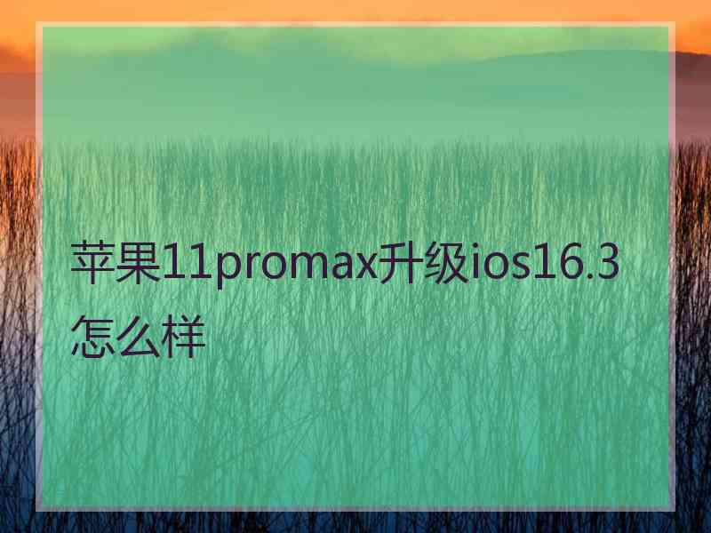 苹果11promax升级ios16.3怎么样