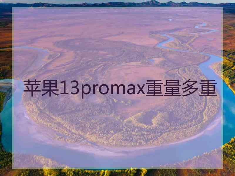 苹果13promax重量多重