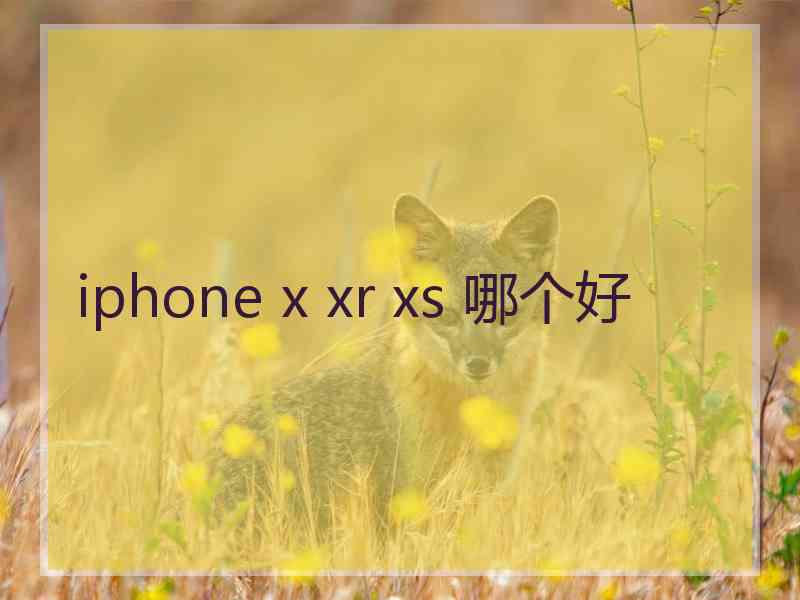 iphone x xr xs 哪个好