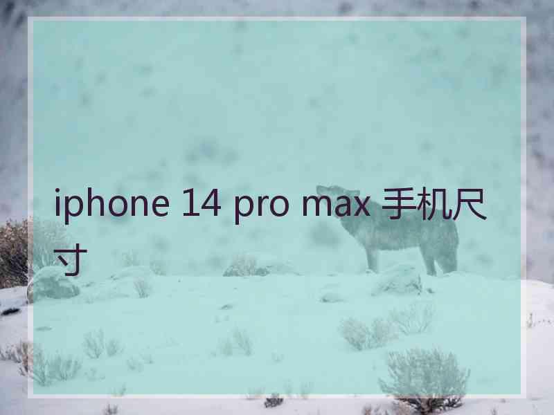 iphone 14 pro max 手机尺寸