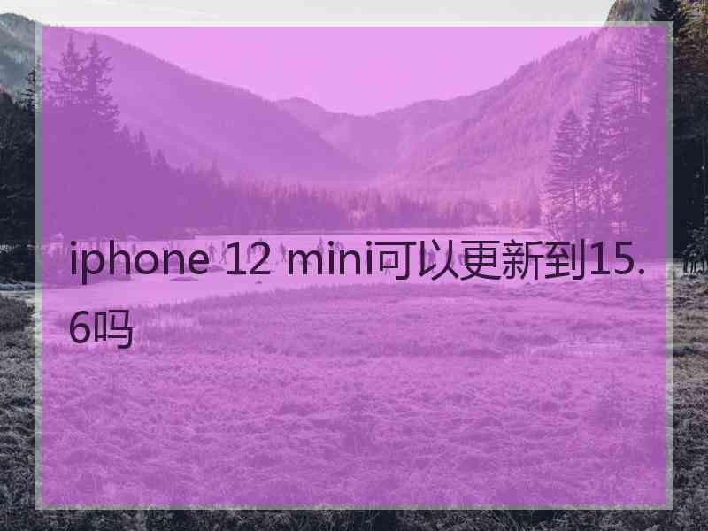 iphone 12 mini可以更新到15.6吗