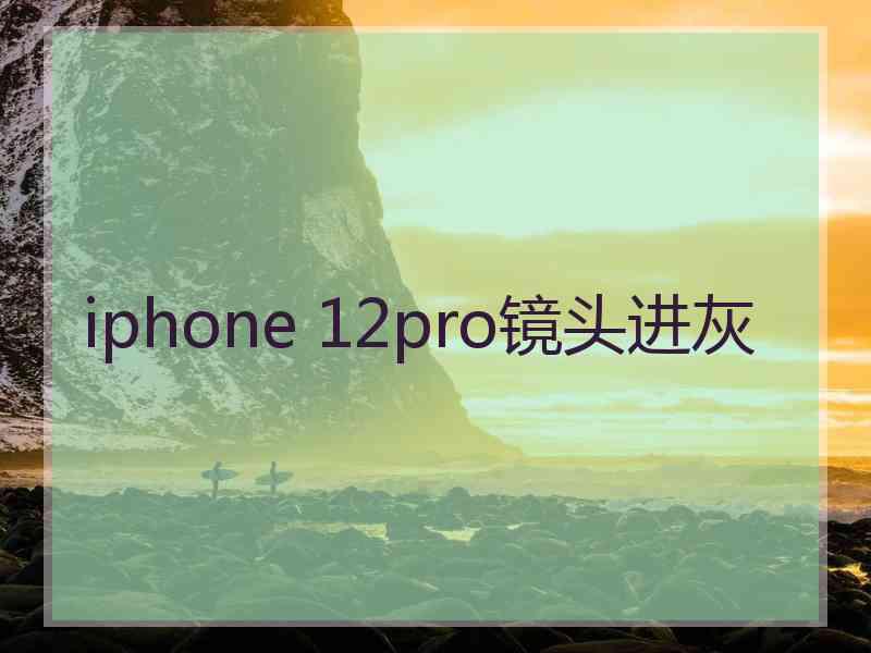 iphone 12pro镜头进灰