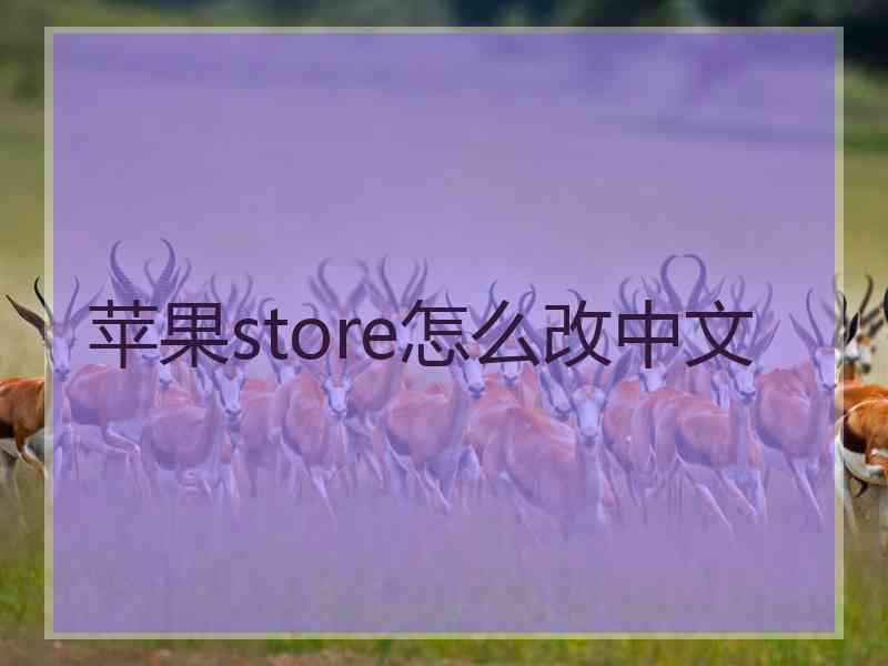 苹果store怎么改中文