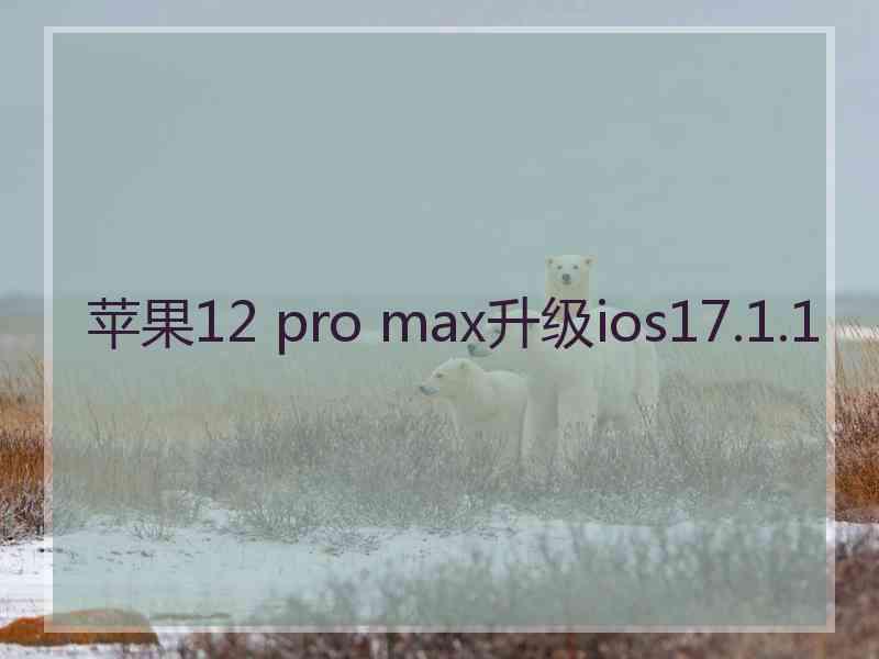 苹果12 pro max升级ios17.1.1