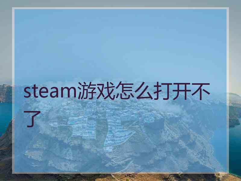 steam游戏怎么打开不了