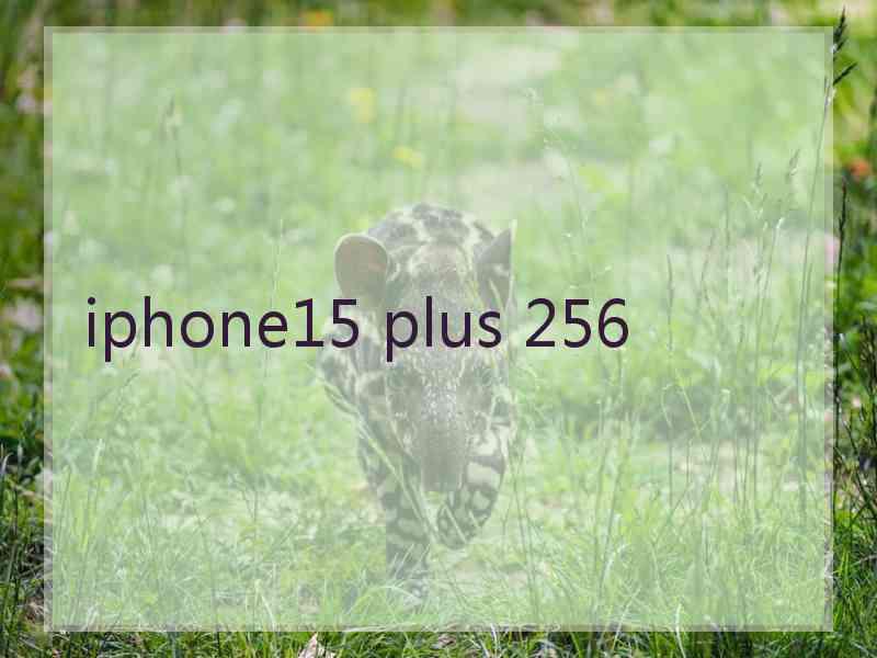 iphone15 plus 256