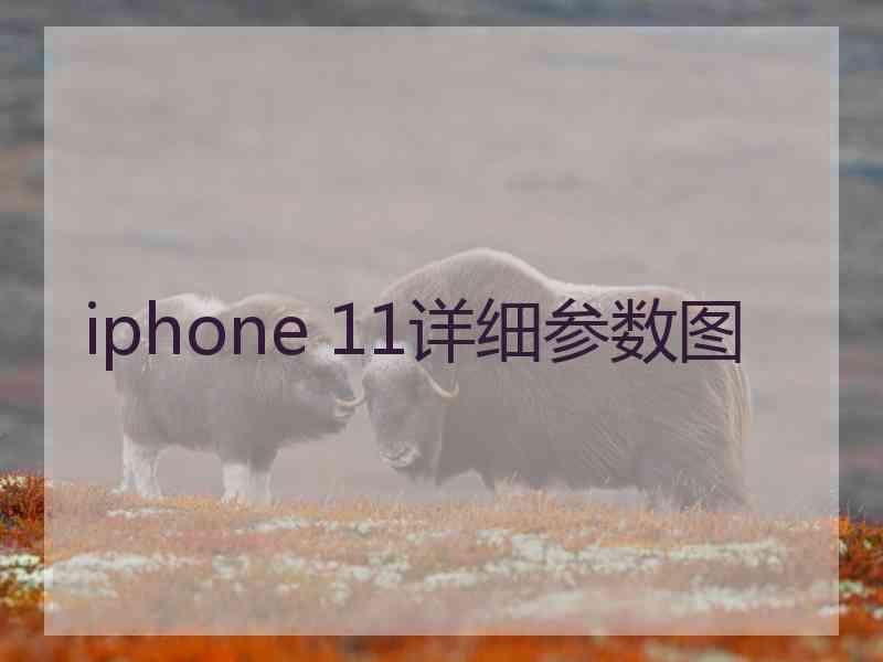 iphone 11详细参数图