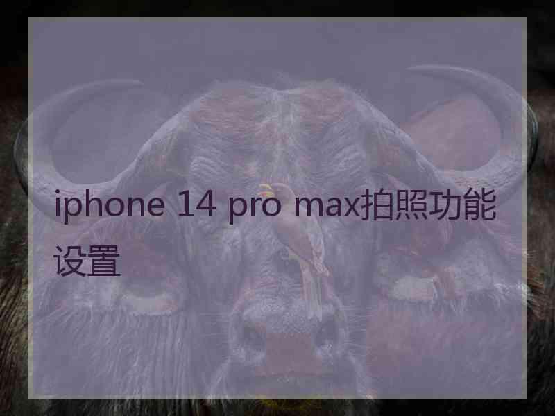 iphone 14 pro max拍照功能设置