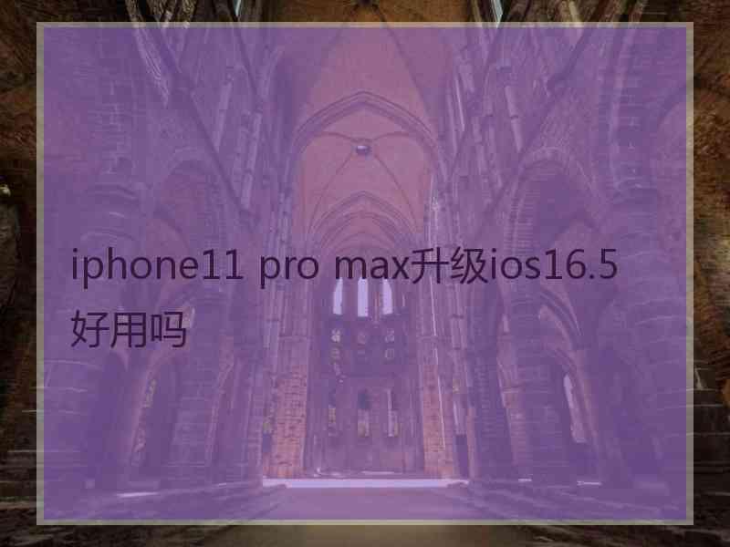 iphone11 pro max升级ios16.5好用吗