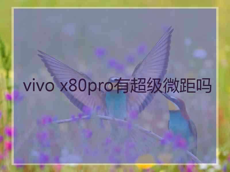 vivo x80pro有超级微距吗