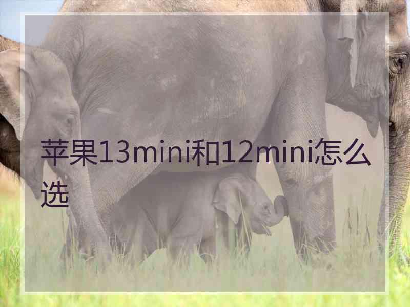 苹果13mini和12mini怎么选