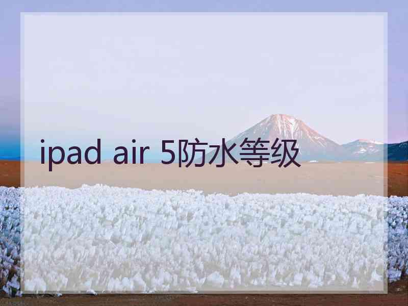 ipad air 5防水等级