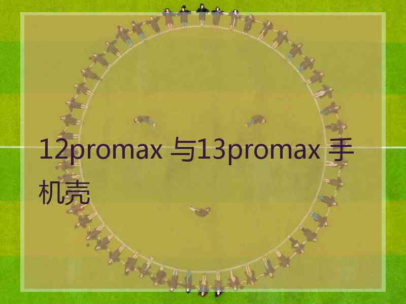 12promax 与13promax 手机壳