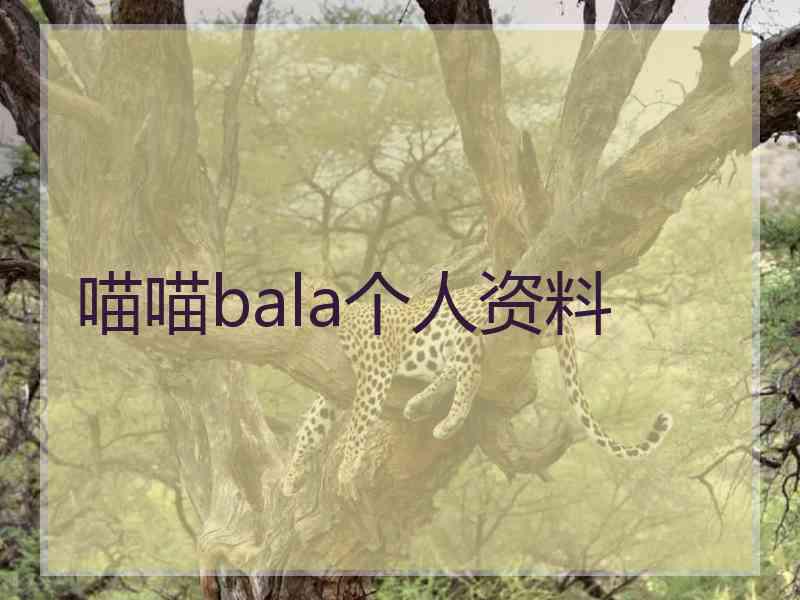 喵喵bala个人资料