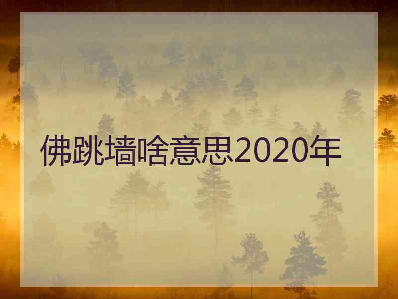 佛跳墙啥意思2020年