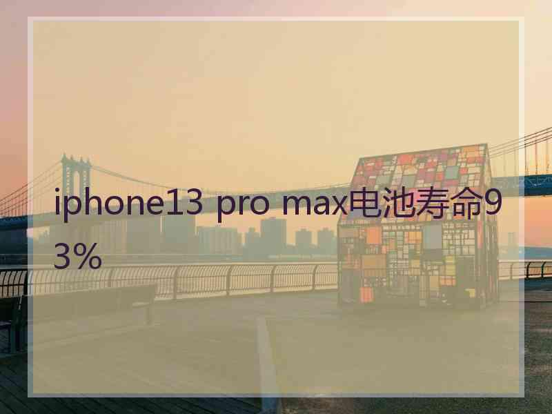 iphone13 pro max电池寿命93%