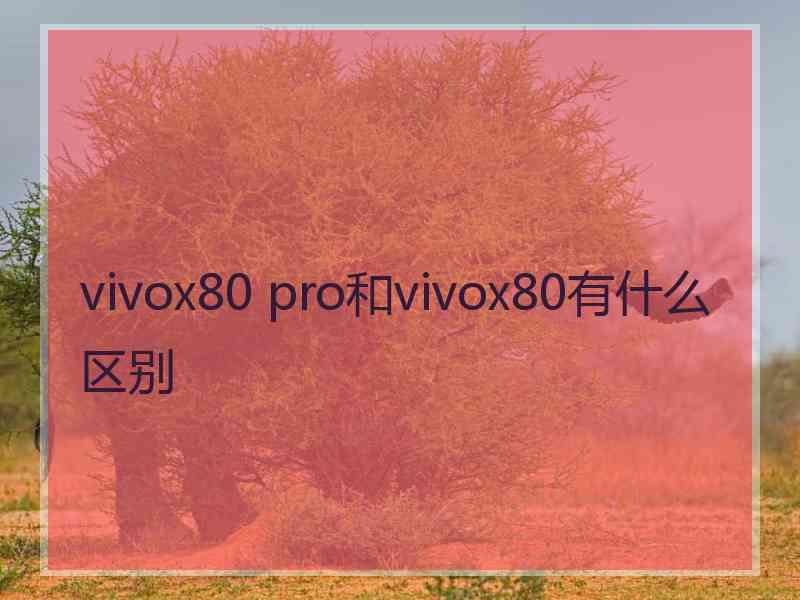 vivox80 pro和vivox80有什么区别