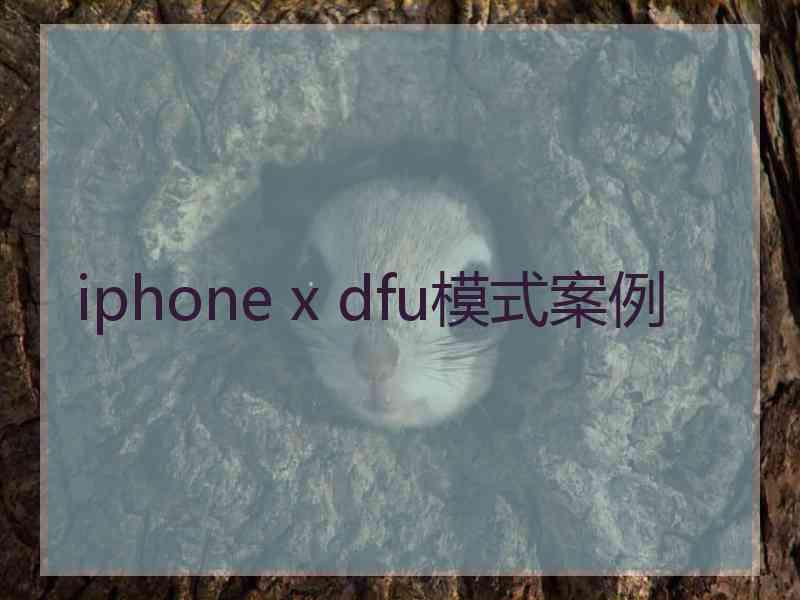 iphone x dfu模式案例