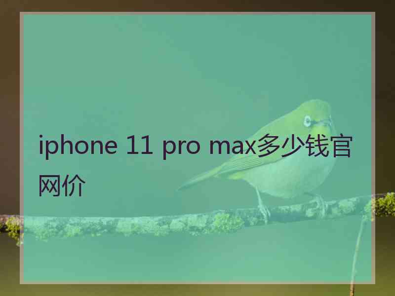 iphone 11 pro max多少钱官网价