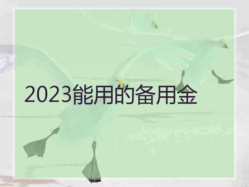 2023能用的备用金