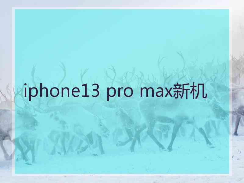 iphone13 pro max新机