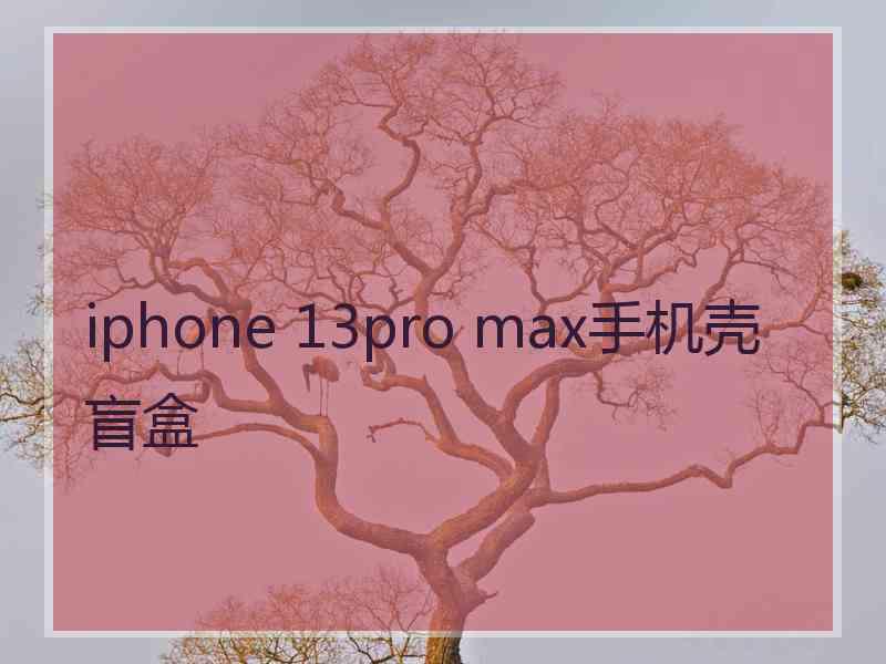 iphone 13pro max手机壳盲盒