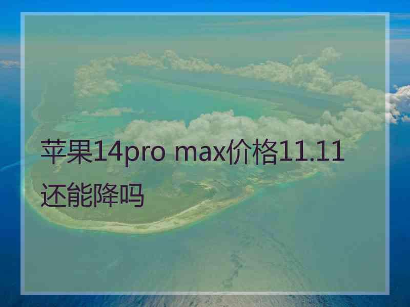 苹果14pro max价格11.11还能降吗