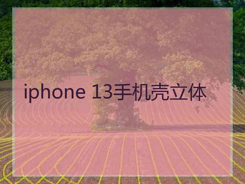 iphone 13手机壳立体