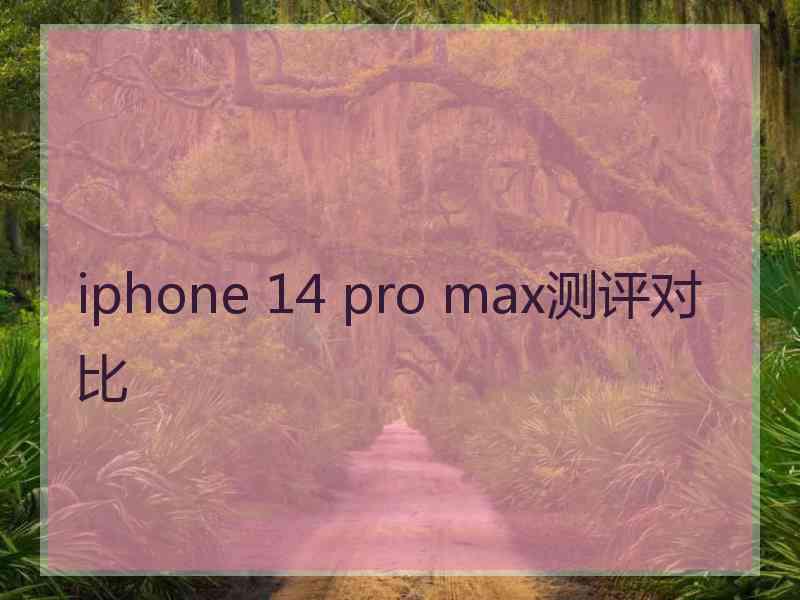 iphone 14 pro max测评对比