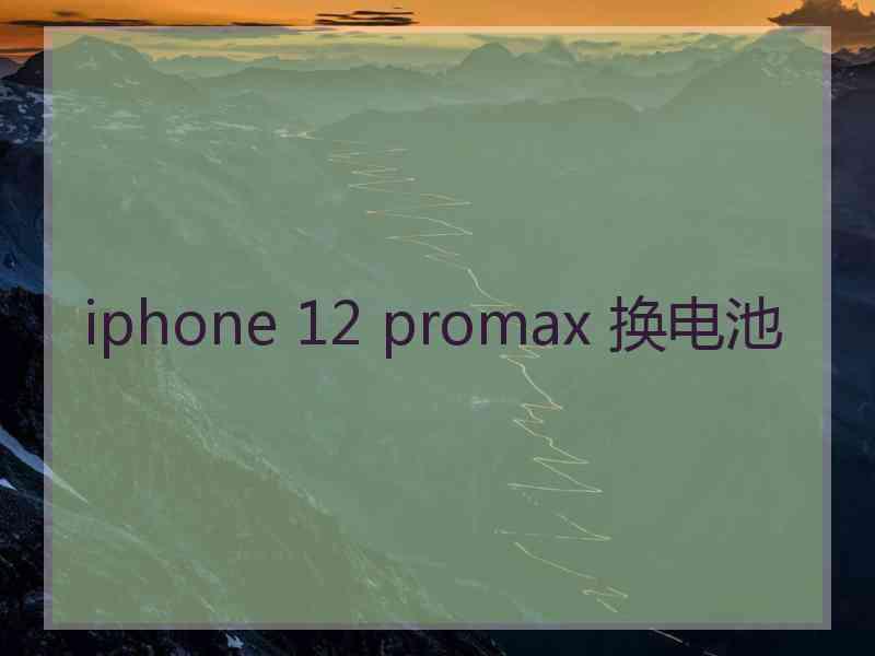 iphone 12 promax 换电池