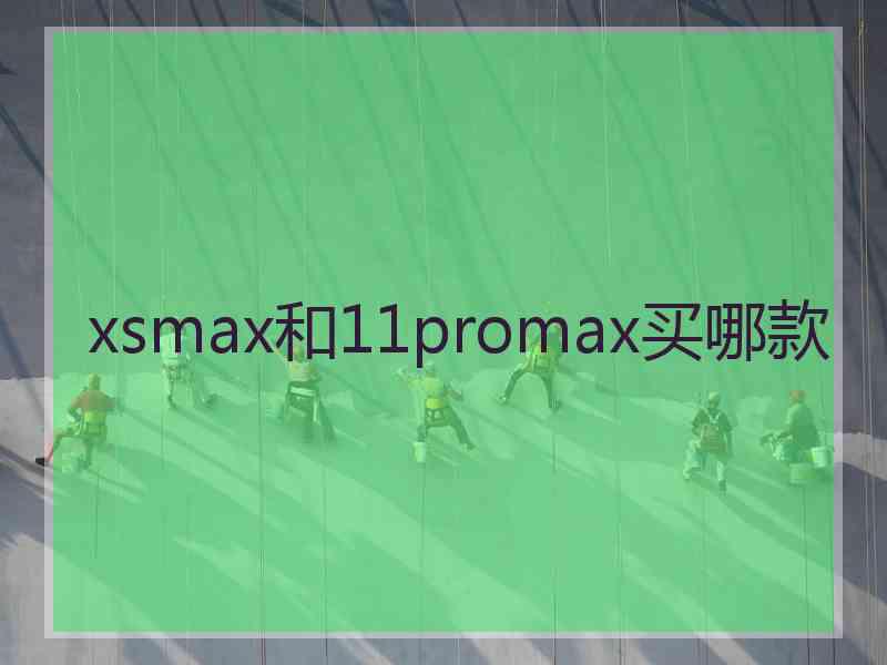 xsmax和11promax买哪款