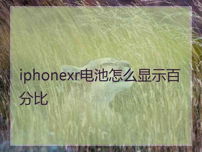 iphonexr电池怎么显示百分比