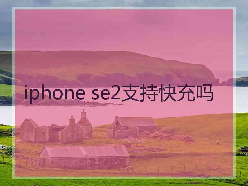 iphone se2支持快充吗