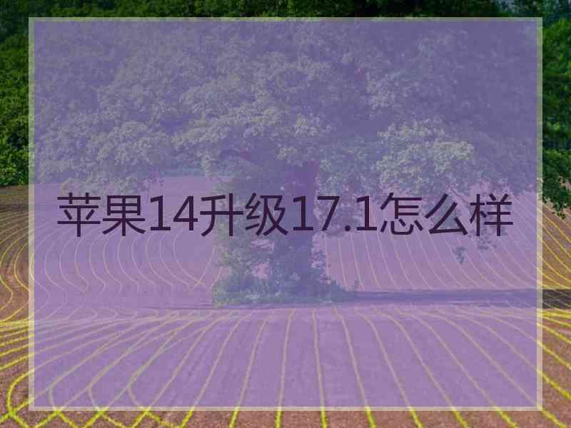 苹果14升级17.1怎么样